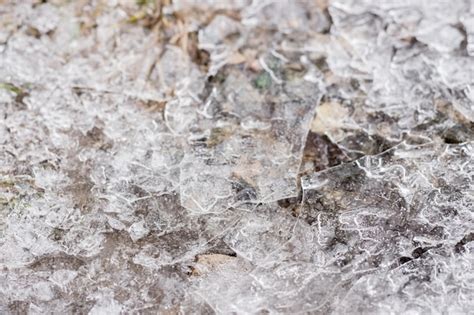 Premium Photo | Ice crust on the ground. winter nature. frozen water ...