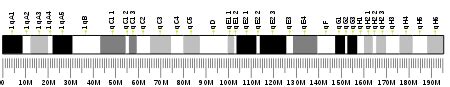 CD34 - Wikipedia