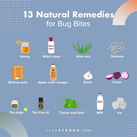 8 HOME REMEDIES for BUG BITES - SOOTHE Your Skin!