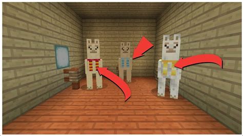 How To Put Carpet On A Llama | Minecraft PS4/XBOX - YouTube