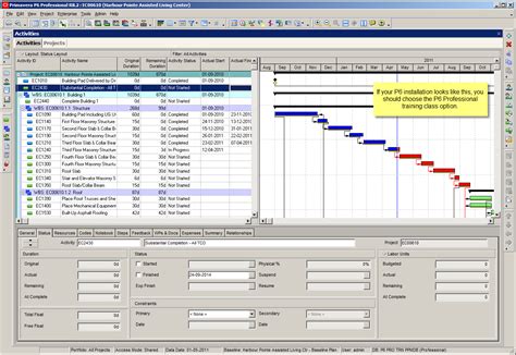 Primavera p6 vs microsoft project - cigarstoun