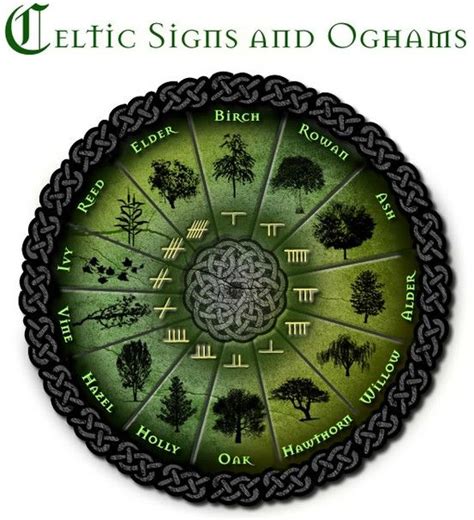 Celtic Rowan Tree | CELTIC TREE MONTH, ASTROLOGY & OGHAM SYMBOL TO MATCH – Luis ... Celtic Signs ...