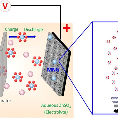 Schematics of the chemistry of the zinc-ion battery. Zn²⁺ ions migrate ...