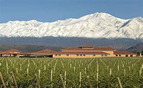 Discover de Best wine tourism: Mendoza, Cradle of Malbec.