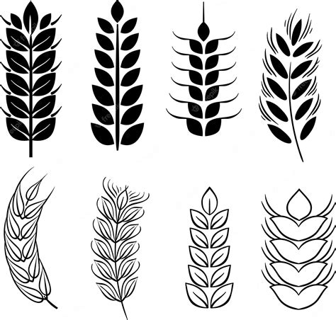 Premium Vector | Set of differents outilned wheat stalk silhouette vector illustration