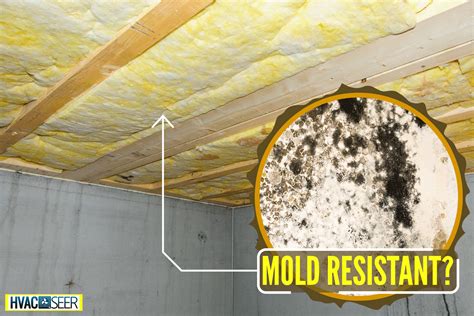 Is Fiberglass Insulation Mold Resistant? - HVACseer.com