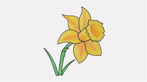 Daffodil Flower Drawing Easy | Best Flower Site