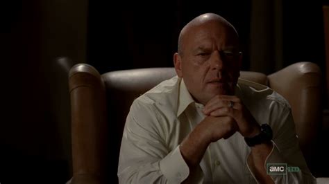 Hank Schrader - Breaking Bad - Hank Schrader Photo (36838928) - Fanpop