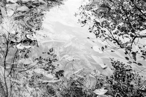 Quiet River Reflection - Black and White Landscape Photograph – Keith ...