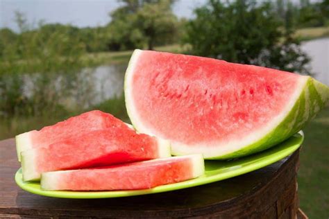 How Seedless Watermelons Are Made: Are They Hybrid and Natural? - FarmingThing.com