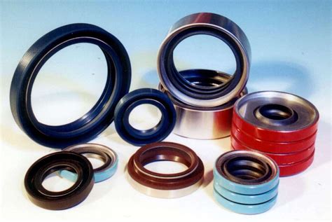 Rotary Shaft Seals for Extreme Operating Conditions