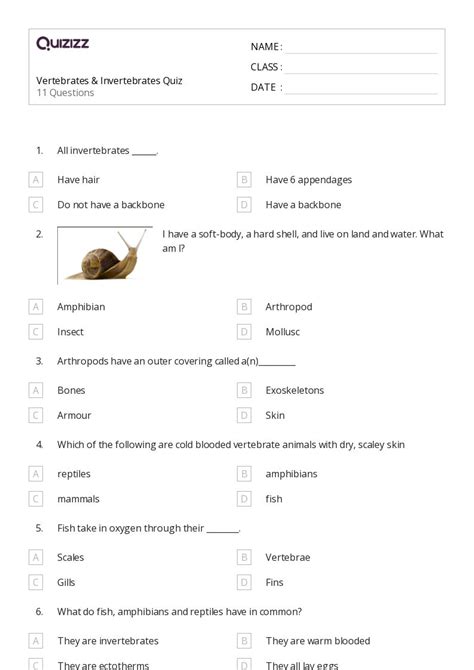 50+ vertebrates and invertebrates worksheets on Quizizz | Free & Printable