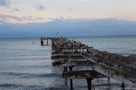 Punta Arenas, Chile - Freehearted Travel