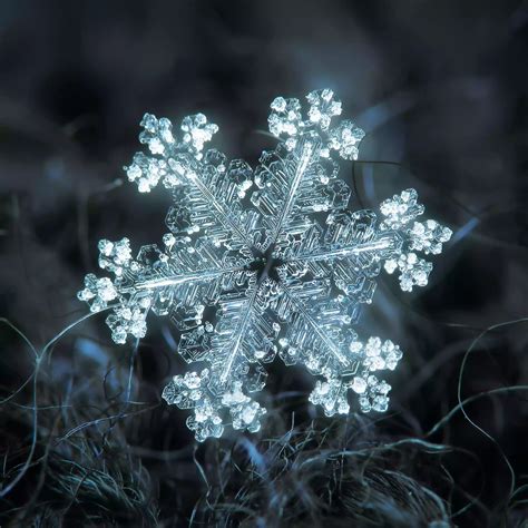 微距的雪花照片展示了难以置信的完美设计 - 听力课堂