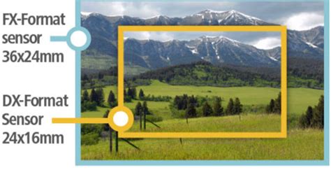 DX vs. FX Format - Lens & Camera Comparison | Nikon | Nikon