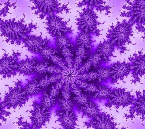 Free Colors Purple Backgrounds Wallpapers and Textures