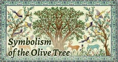 Olive Tree Symbolism