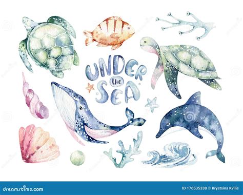 Watercolor sea creatures Blue whale clipart Ocean animal Seal PNG ...