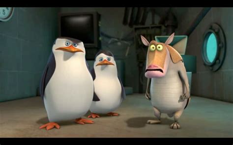 Worlds Best Skipper Expressions - Penguins of Madagascar Photo (30979341) - Fanpop