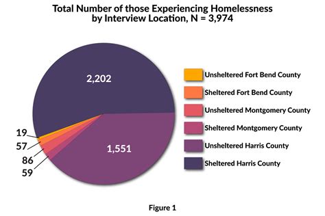 2020 Homeless Count results show the need for additional resources