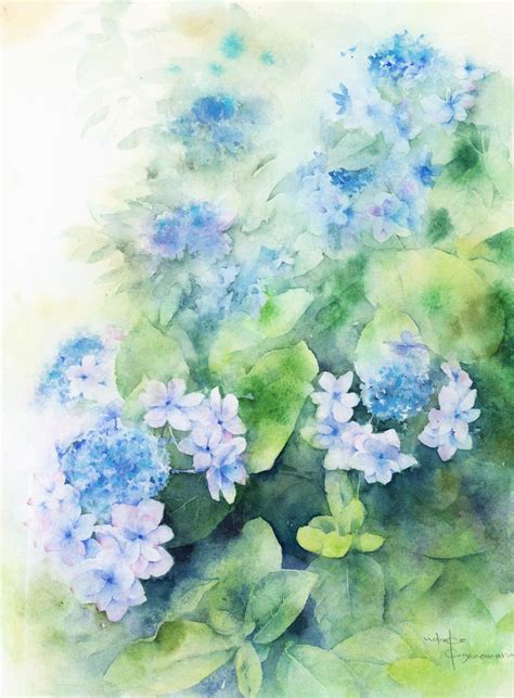 Ajisai (hydrangea) | 花 イラスト, 花 水彩画, 水彩 花