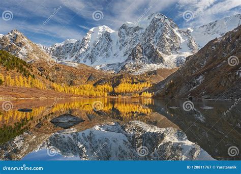 Altai Mountains, Russia, Siberia. Stock Image - Image of forest ...