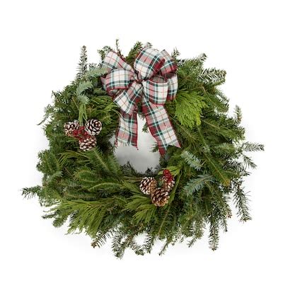 Metrolina Greenhouses Fresh Christmas Wreaths at Lowes.com