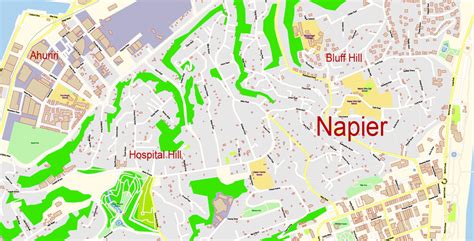 Napier + Hastings New Zealand Map Vector Exact City Plan detailed ...