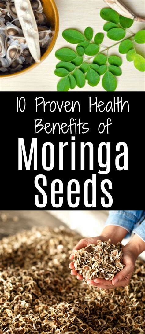 The 25+ best Benefits of moringa seeds ideas on Pinterest | Moringa oleifera benefits, Moringa ...