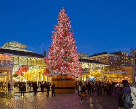 Christmas Tree all lit up in Covent Garden London England | Beautiful christmas trees, Christmas ...