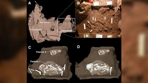 Homo naledi buried their dead 100,000 years before humans | CNN