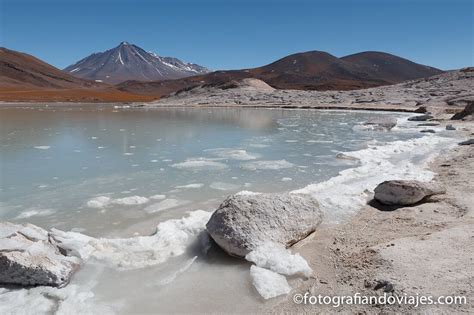 Salar de Atacama y lagunas altiplánicas: agua en el desierto