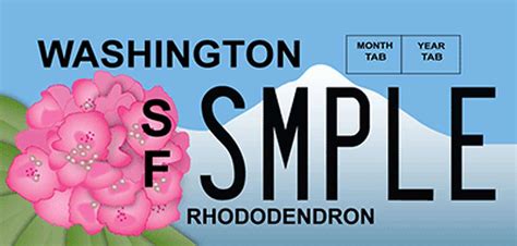 Washington's special-design license plates, ranked by popularity