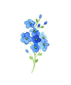 Forget Me Not Flower Drawing at GetDrawings | Free download