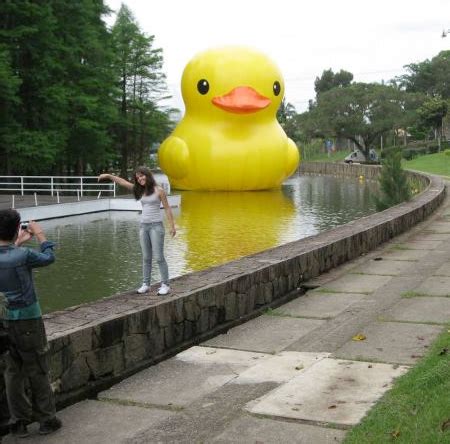 Giant Rubber Duck