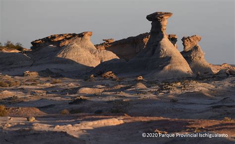 Meet Ischigualasto Park | Ischigualasto Provincial Park | Official Site