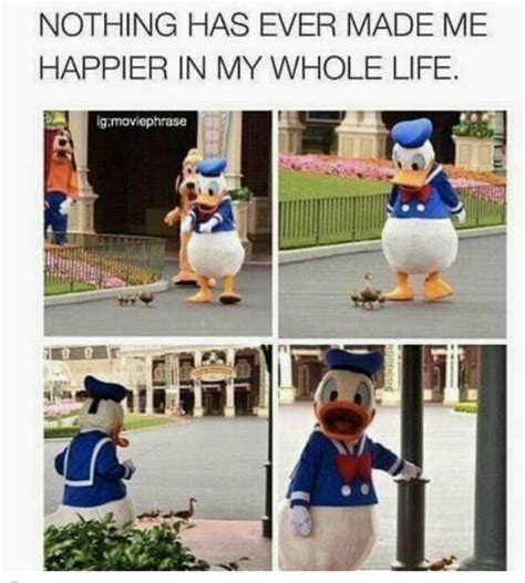 the Duck helping out ducks : wholesomememes | Funny disney memes ...