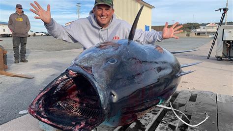 How to CATCH a GIANT! Giant Bluefin Tuna! Nova Scotia, Canada