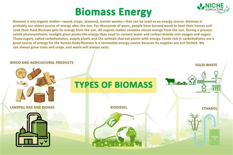 Biomass Energy- Energy for Future Generation