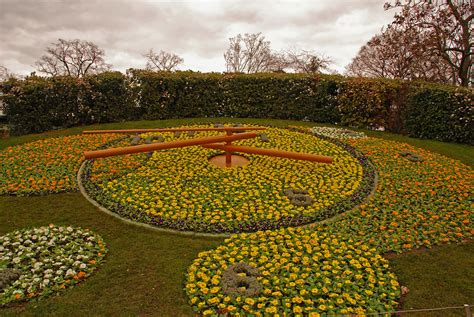 TOM CLARK: Linnaeus' Flower Clock