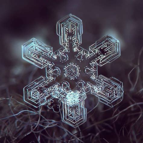 Macrophotographer Snaps Snowflakes Up Close—And the Results Over Past 14 Winters Are Magical in ...