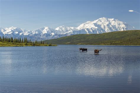 Met Wild Alaska naar het laatste onontgonnen gebied van de Verenigde ...