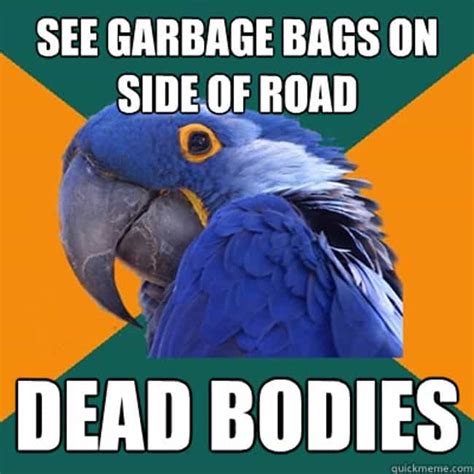 The Very Best of the Paranoid Parrot Meme