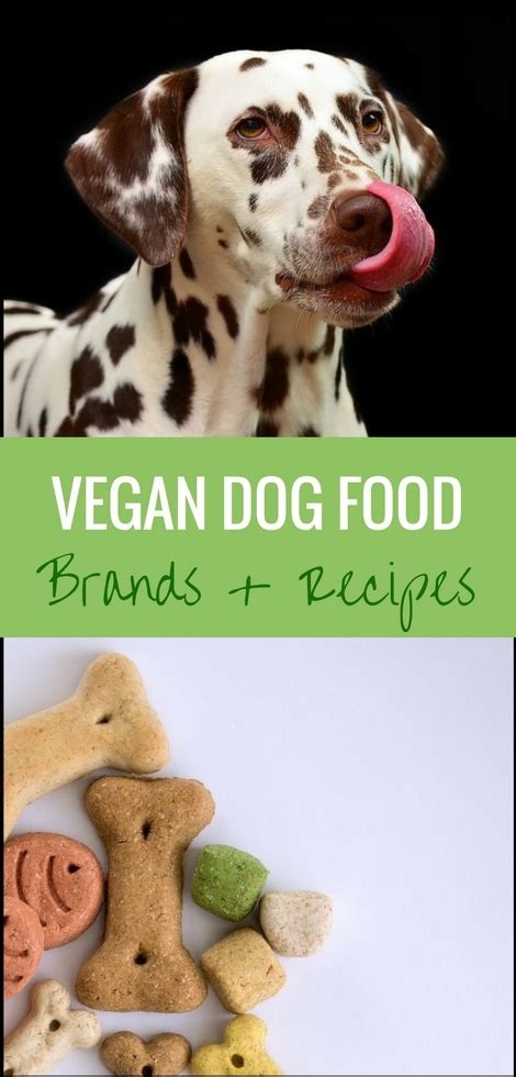 The Best Vegan Dog Food Brands and Homemade Recipes | The Green Loot