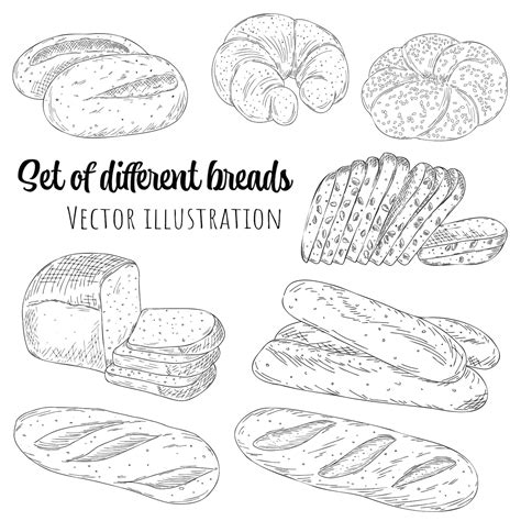 Premium Vector | Set of hand drawn outline different bread