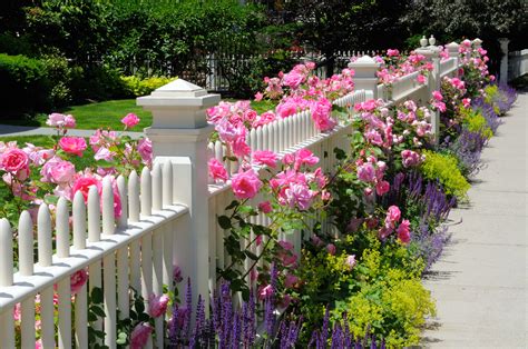 What Kind of Fences Make Good Decorative Fences? - Hercules Fence Virginia Beach