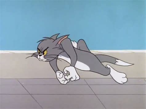 Chasing: Tom and Jerry Cartoon Images | Tom and Jerry Chasing Scene ...