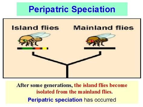 15 3 Mechanisms of EVOLUTION 15 3 Speciation