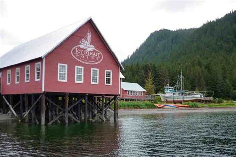 The 5 Best Icy Strait Point Shore Excursions for Your Alaska Cruise (2024)