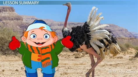 Ostrich Adaptations: Lesson for Kids - Lesson | Study.com